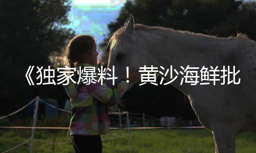 公路石子移动制砂机价格、通州石子价格、石子05价格、石子价格走低