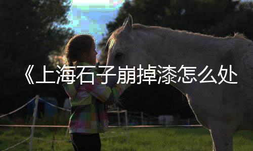 广州白石子价格、粗砂和石子价格、邢台沙土石子价格、安徽石子装料机价格