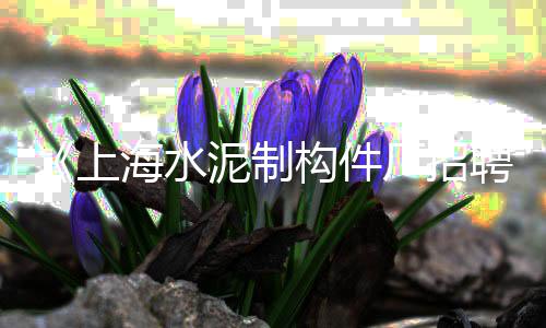 辛口镇石子零售部在哪儿、靖江石子零售店在哪里、石子陶粒批发零售店地址、石子加工零售平台排名榜