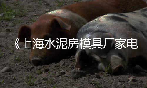 空港沙子水泥市场、广东建筑水泥交易市场、老水泥厂菜市场、中国水泥现在的市场价