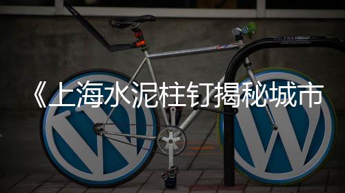 二手水泥毯设备市场、水泥管道市场如何管理、水泥电杆市场评估价、成都水泥批发直销市场