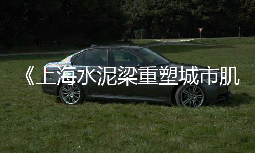 石子起重机批发、彩色石子批发路面、石子批发厂商电话、兴国石场石子批发