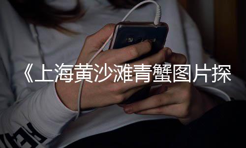 老马水泥黄沙批发、南京黄沙批发市场、黄沙水泥批发宣传语、垫江黄沙转盘铝材批发
