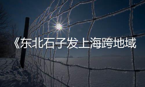 再生石子上海浦东、上海小石子价格最新行情、找船拉石子到上海、上海拉石子船的地方
