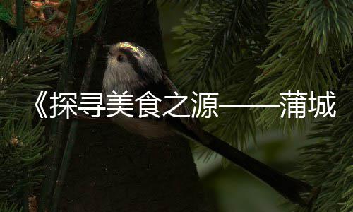 上海水泥灌浆料直销商家、上海水泥围墙定制厂家、上海水泥蝶阀出口厂家、上海水泥直塑价格