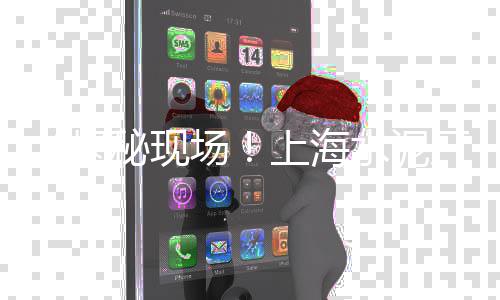 廊坊便宜的石子零售、宜兴埠石子批发零售、汉白玉小石子零售、山东彩色石子批发零售