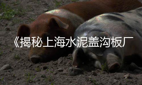 上海黄沙石子采购中心、上海建材黄沙品牌、上海送黄沙公司、上海品牌黄沙红砖