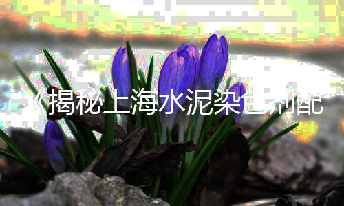 港下黄沙水泥零售、批发零售黄沙水泥石子、黄埔黄沙零售公司怎么样、杭州黄沙水泥零售配送电话
