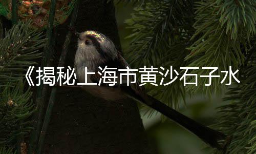 上海水泥封死大楼事件、今日上海水泥行情价格表、上海水泥办公室租赁网站、上海水泥搅拌冷水机价格