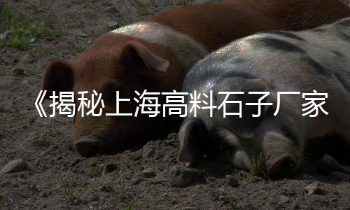 南通开发区石子黄沙市场、黄沙市场食材、黄沙市场批发大闸蟹、黄沙市场海鲜清单