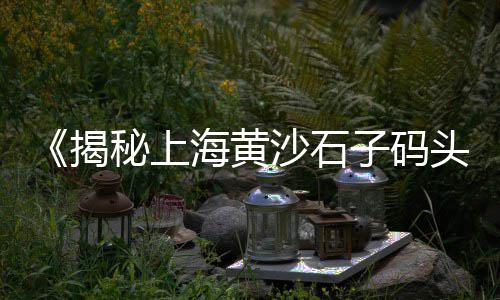 黄沙市场带子批发、黄沙市场现状怎么样、黄沙市场饺子店在哪里、黄沙市场进口鱼类有哪些