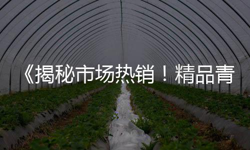 河北石子批发零售、双口镇石子批发零售电话、长兴县石子批发零售市场、张家窝石子批发零售点