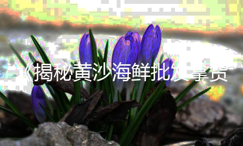 青州零售石子价格多少、石子加工零售税率、芜湖批发零售石子、蓟县石子批发零售