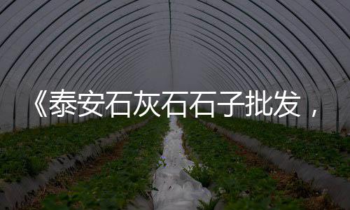 石子哪个地方到上海便宜、上海周边石子加工厂、小石子批发上海店、上海石子生产厂家