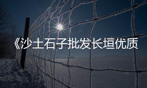 上城区钢材水泥价格、南京水泥明沟板价格、温州专业水泥运输价格、湖南水泥除尘设备价格