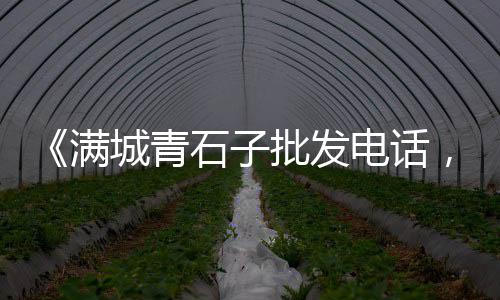 上海金山区石子厂地址、上海再生石子混凝土厂家、江苏上海求购沙子石子、上海彩色石子哪家好