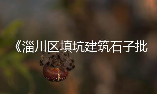 上海黄沙多少钱、武汉黄沙到上海、上海石子黄沙订购、上海出售黄沙规格