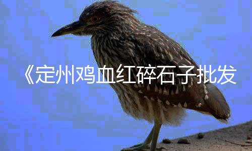 深圳桂园石子批发、榆林白石子批发、石子20斤批发、叶县石子笼批发