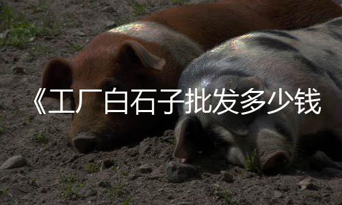 启东石子批发采购电话、石子岭公鸡批发、乾县石子批发公司、滨州灰石子批发