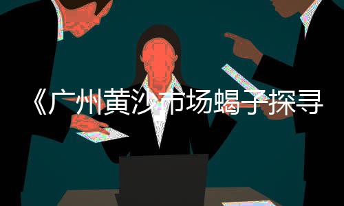 黄沙水泥零售利润、襄阳水泥板零售、鄢陵哪里零售水泥便宜、白沙零售水泥店在哪