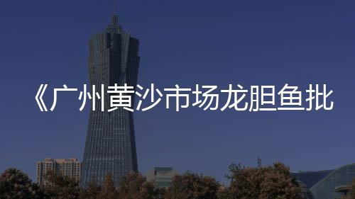 海口水磨石石子批发、广饶县黄沙石子批发市场、鼓楼区灰石子批发价格、通州区直销石子批发价格