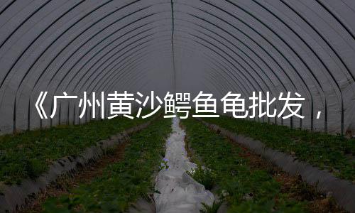 滨城区管道水泥批发价格、水泥批发林总、石门建材水泥批发、新疆水泥柱子批发