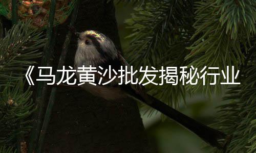 鄂州花湖黄沙水泥批发、黄沙水产批发市场水浸、黄沙水产批发市场买海鲜、平沙黄沙批发市场电话