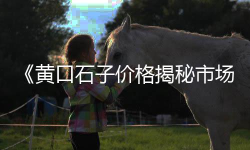灌南二手水泥船市场、温州水泥黄沙建材市场、合肥的水泥市场在哪里、白蕉水泥建材市场