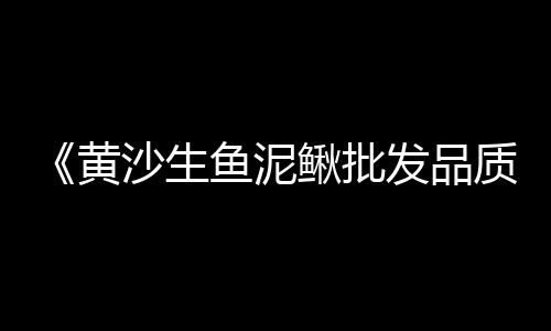 上海石子网、上海批发白色石子的市场、上海景观小石子图片高清、上海长宁区石子厂地址