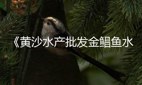 云南昆明水泥价格、衡水水泥房价格报价、江苏梅花型水泥垫块价格、龙川水泥管价格大全