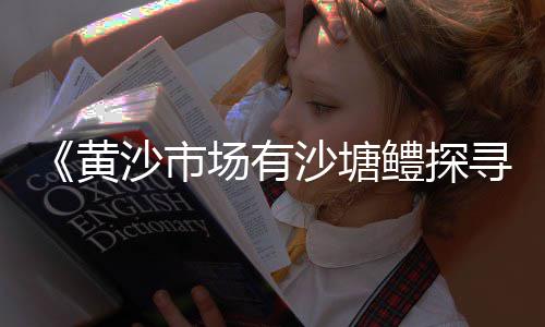 全套石子设备价格、昆明石子厂价格多少、大宗商品石子价格多少、无极石子价格行情