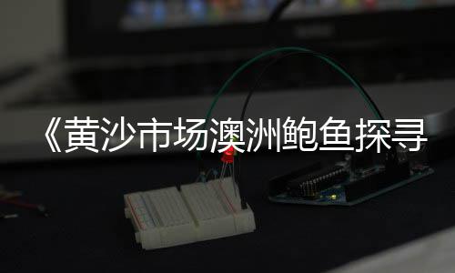 东莞便宜石子批发市场地址、日照石子市场、东营石子市场、石子综合市场