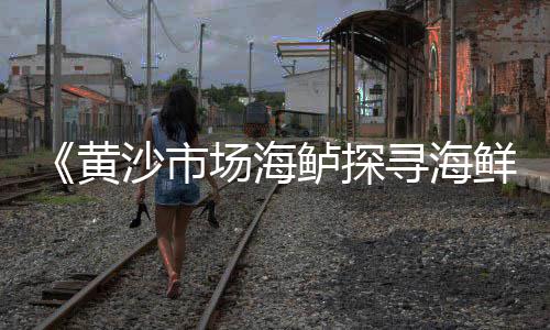 石子移动破碎站厂家批发、广西石场石子批发在哪、桓台县石子厂家批发、广饶县石子厂家批发