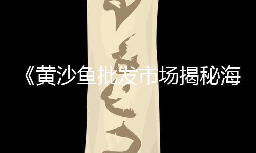 上海石子破碎工厂、上海节能石子仓、上海石子出售电话、2019上海石子价格