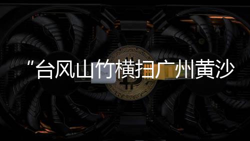 西安露营地铺石子批发、莆田碎石子批发、忻州白石子批发厂家、晋中石子批发厂家地址