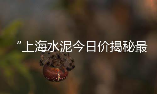 白云黄沙批发电话、淄博蛋黄沙批发价格、如皋市黄沙石子码头批发、广州最大的批发市场黄沙