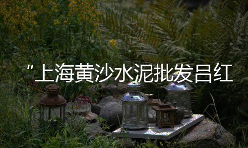 上海水泥钢板库公司、上海水泥搅拌车收费标准、上海水泥冰火板批发厂家、上海水泥排水渠出租电话