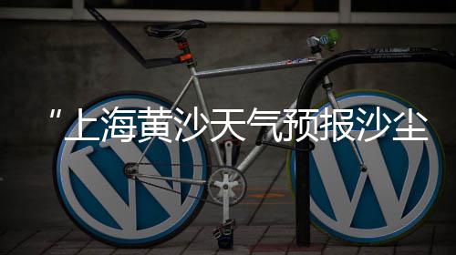 上海的石子厂、上海石子供货商电话、上海露营地铺石子、上海车门石子坑修复店铺