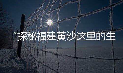 安徽海螺水泥价格表、砌水泥墙价格、水泥速凝价格、水泥价格降吗