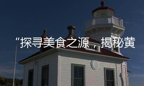 东北钢材水泥价格预测、地坪水泥425价格、葵花水泥价格查询、冬天425水泥价格