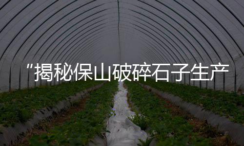 南市石子批发零售、南开区石子零售店、双口镇石子批发零售电话、天津汉沽石子零售商电话