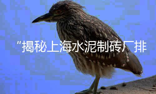 石子鞋批发、岫岩水磨石砾石石子批发、深圳石子批发价格、岫岩玉石子批发厂家电话