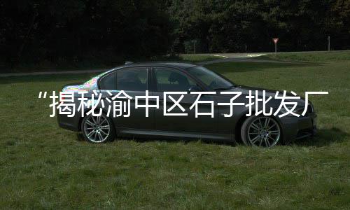 鳌江二手石子市场电话、石子产品市场分析、现市场黄沙石子价格、石子岭农贸市场海鲜