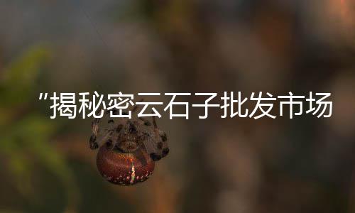 大黄沙螺批发、溧水水泥黄沙批发市场、黄沙有哪些批发市场、黄沙冰鲜批发市场