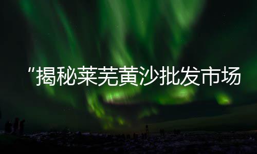 上海水泥黄沙砸墙、黄沙水泥价格上海、上海哪有黄沙买、上海黄沙行情咋样