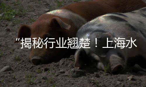 黄沙水泥建材零售、常州黄沙批发零售点、黄沙水产零售生蚝价格、水泥黄沙批发零售店