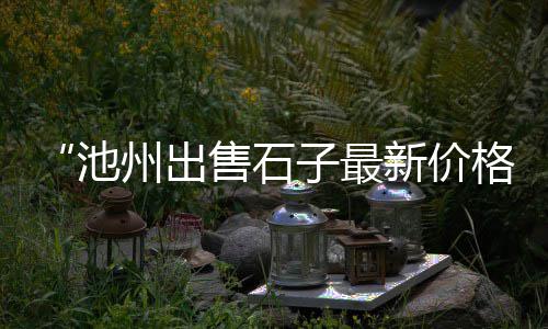 广州黄沙猫眼螺批发厂家、利川黄沙批发、沈阳黄沙批发、黄沙丁鱼批发