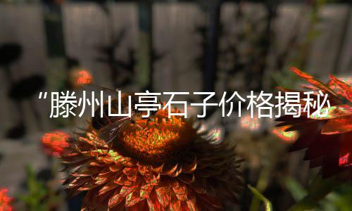 黄沙码头海鲜批发大闸蟹、青浦徐泾水泥黄沙批发、中山市黄沙蚬批发、黄沙批发供应商电话