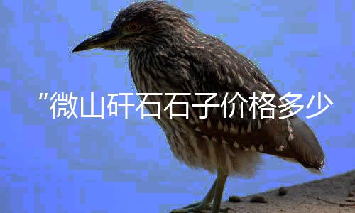 附近石子批发零售地址、码头批发零售石子多少钱、淄川石子零售店地址查询、烟台开发区零售石子电话