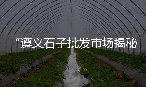 批发零售石子电话、塘沽石子零售、文水石子零售、石子加工零售